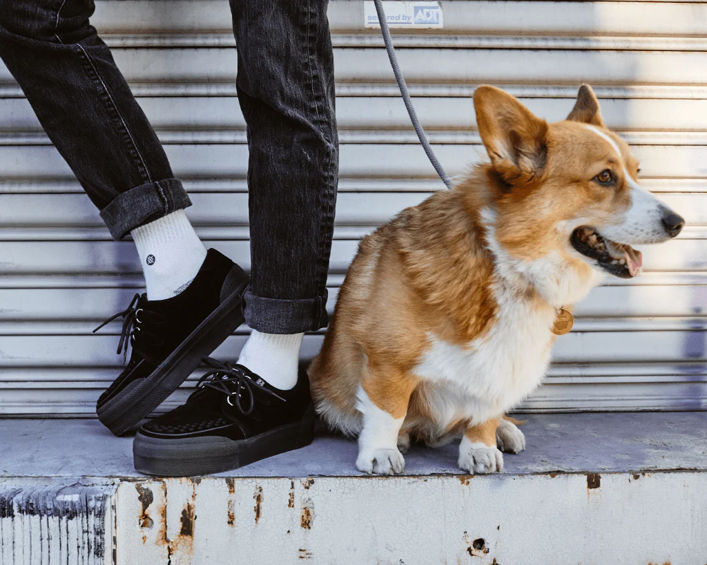 1557-Black-Suede-Platform-Creeper-Sneaker-8.webp Black Suede Platform Creeper Sneaker