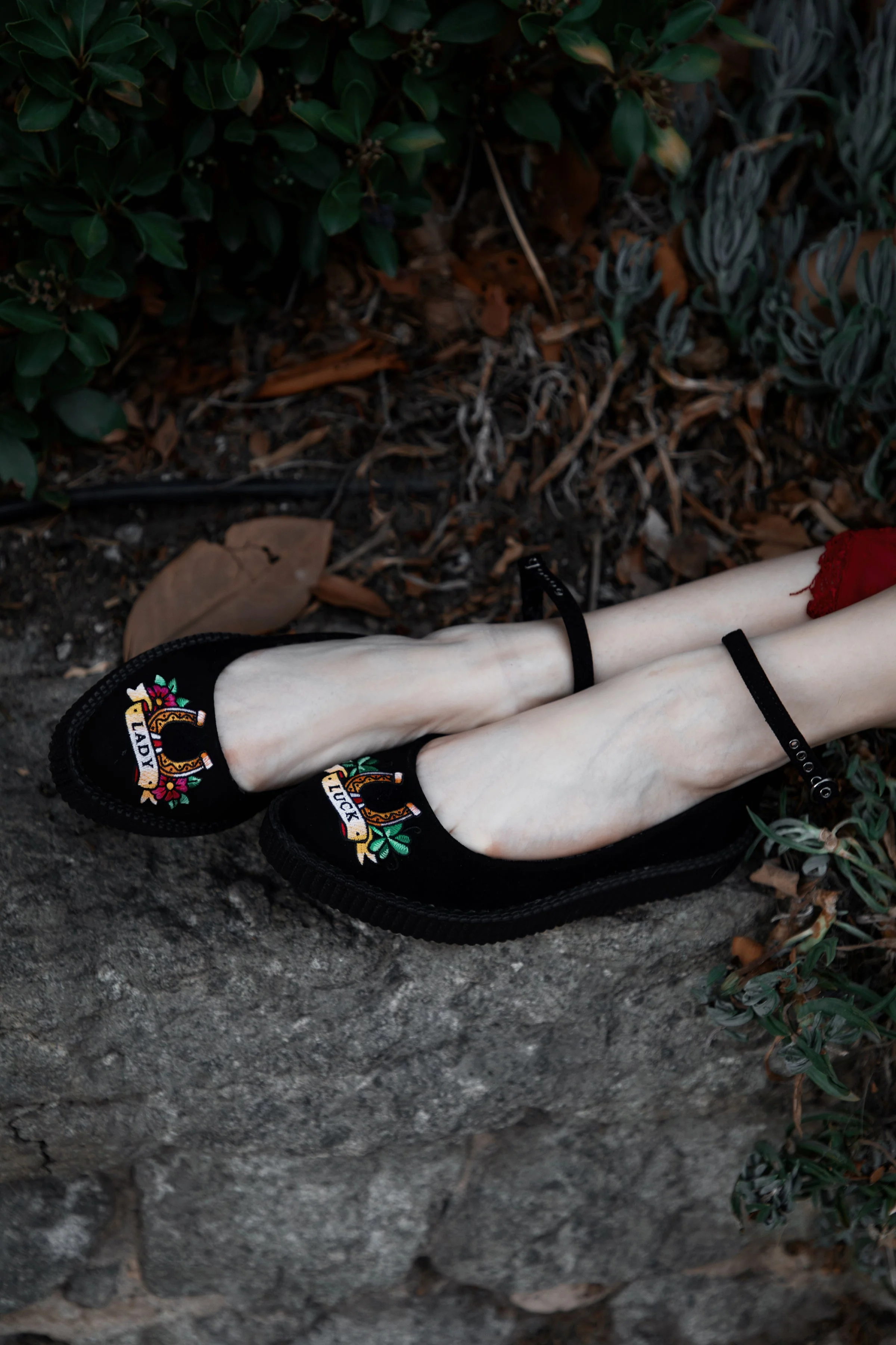 65-Black-Lady-Luck-Pointed-Ballet-Creeper-6.webp Black Lady Luck Pointed Ballet Creeper